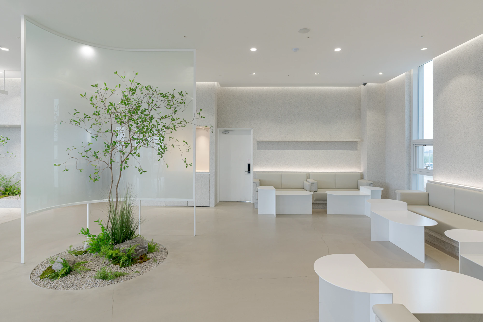 A calm white reception area with a small indoor tree