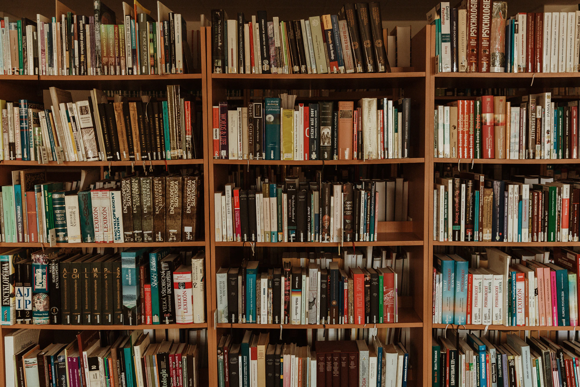 Wooden shelves full of books