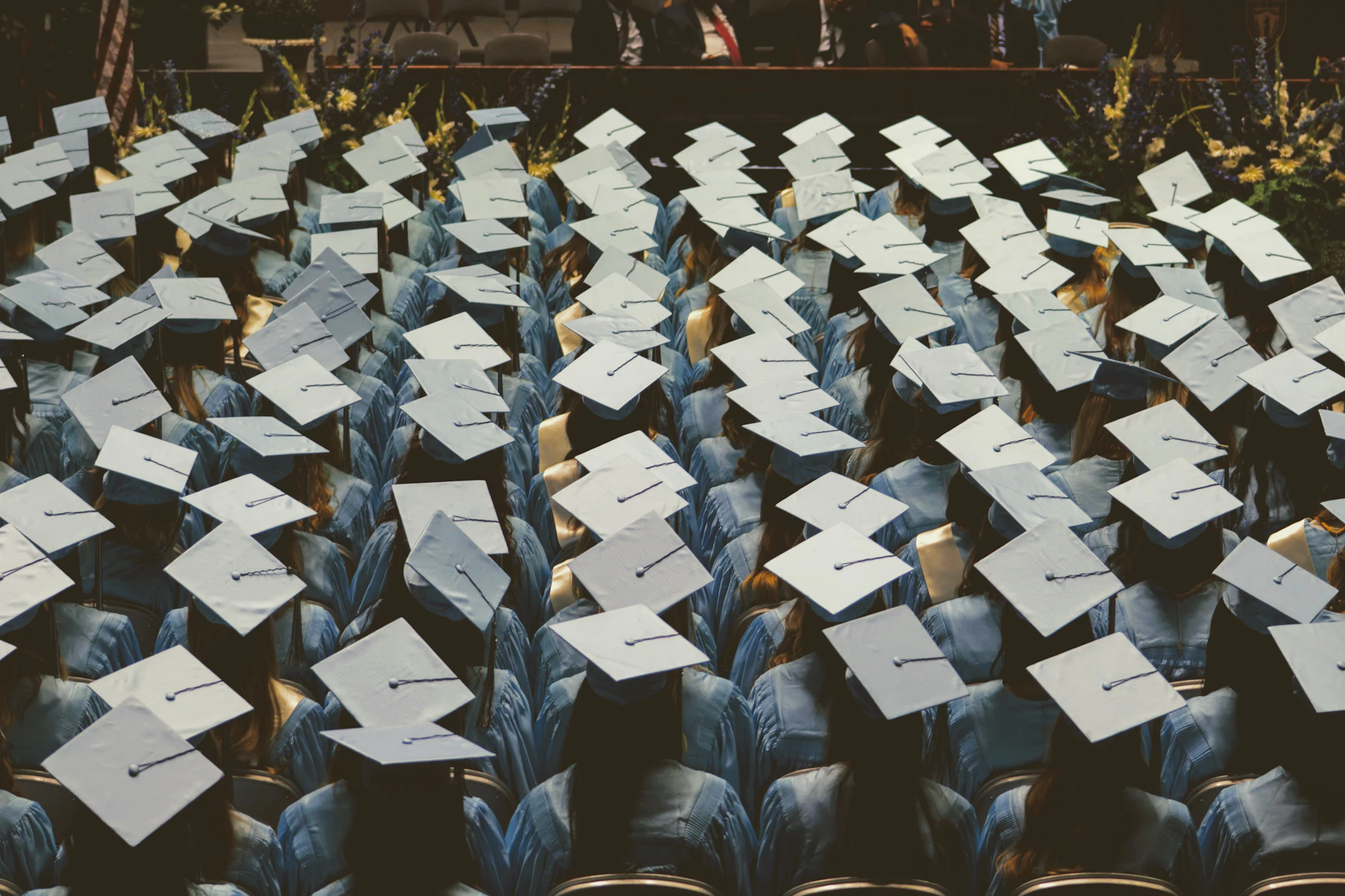 Rows of graduates in caps at a ceremony, seen from behind