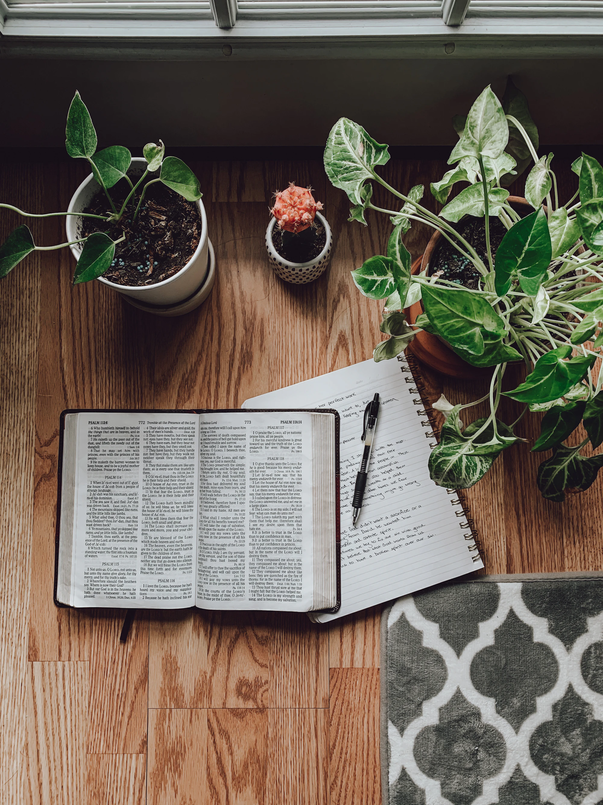 An open Bible and notebook beside potted plants