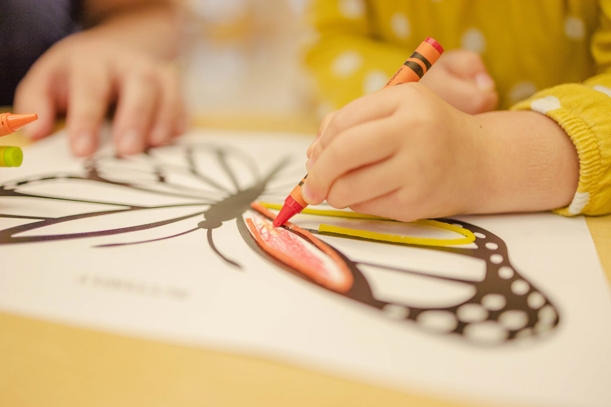 A child colouring a butterfly drawing