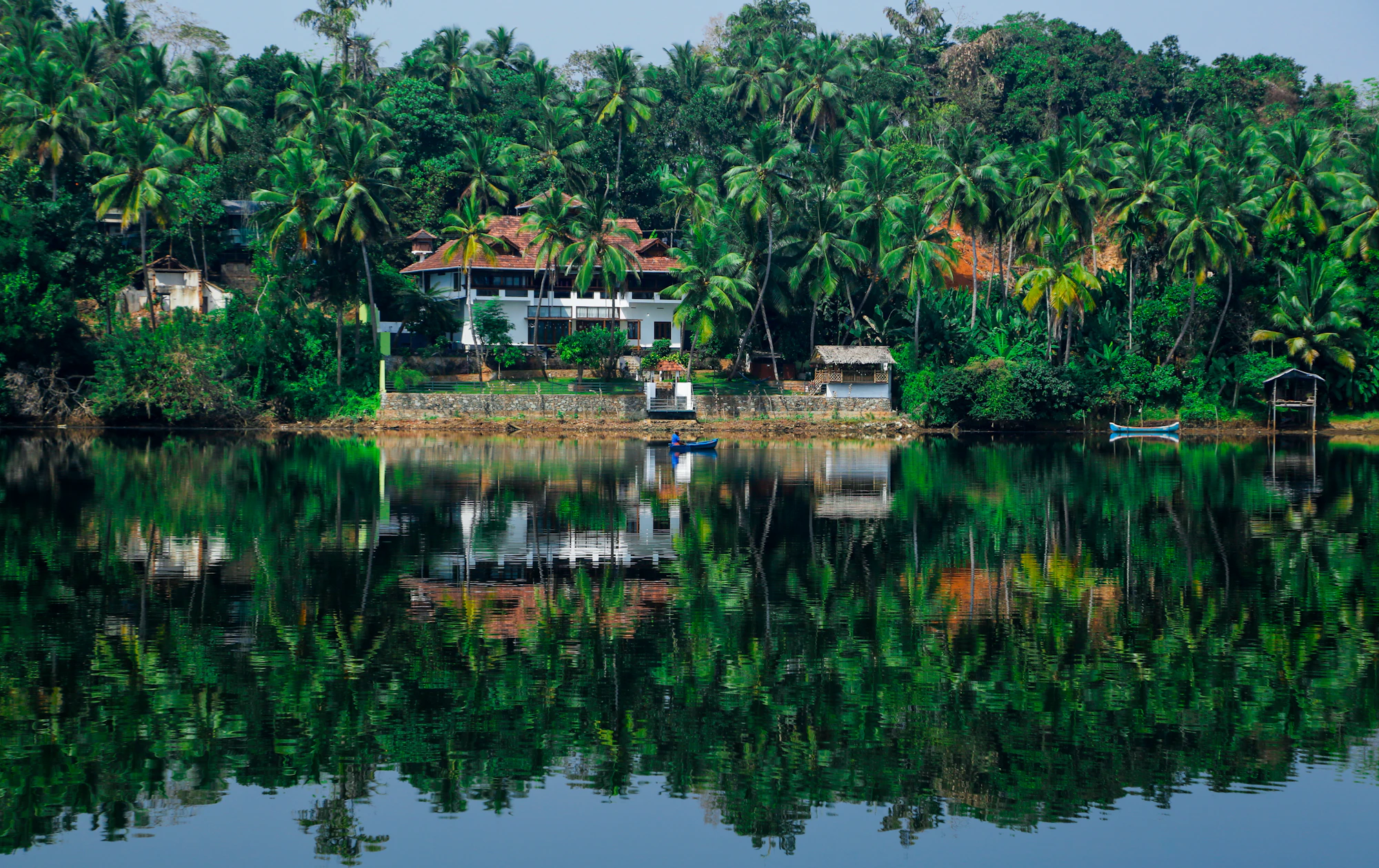 Houses among coconut palms reflected in still water