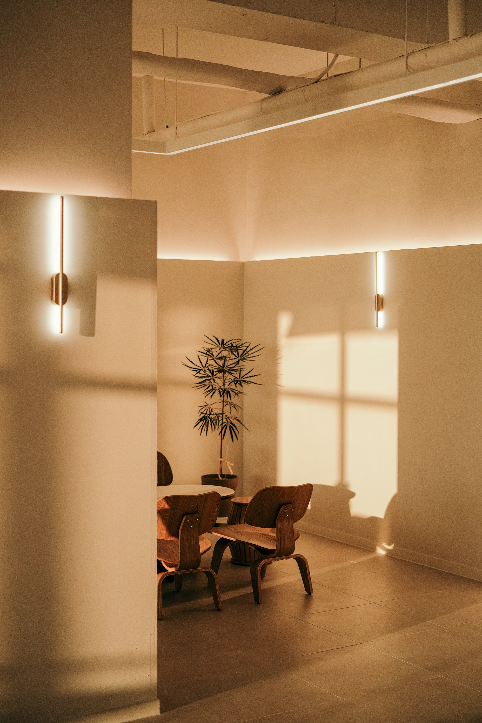 Meeting room with warm lighting and wooden chairs