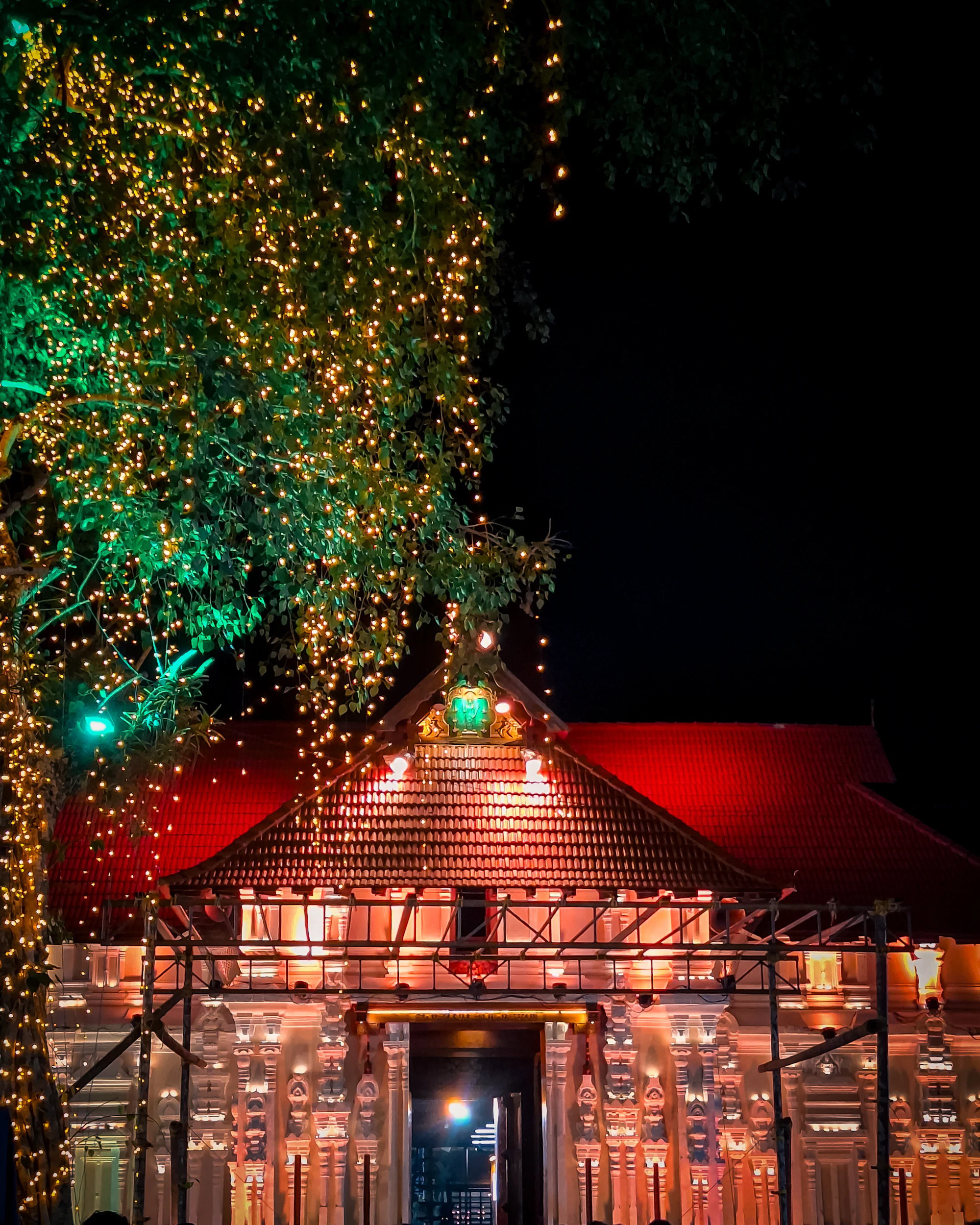 Traditional building and tree lit with festive lights at night